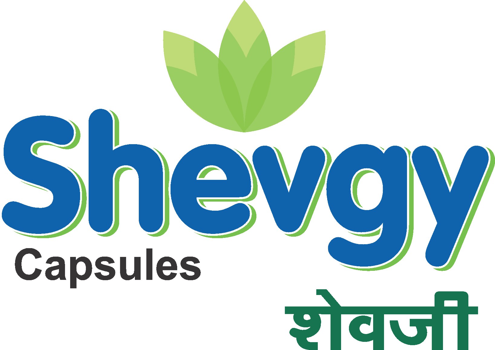 Shevgy